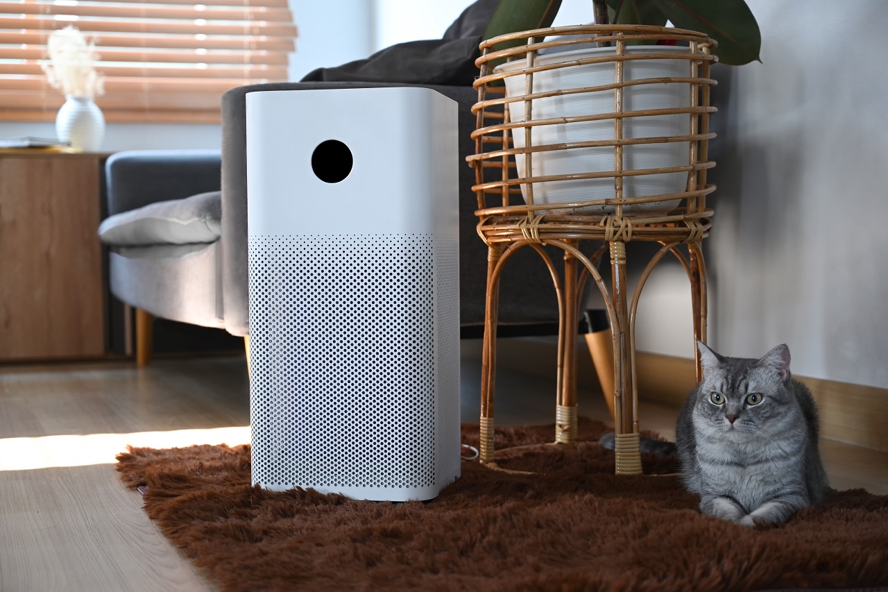 air purifier