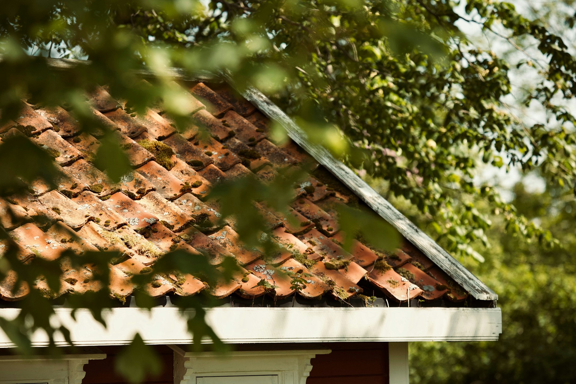 roof damage